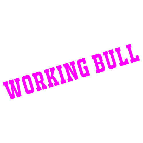 Working Bull  Sticker - Small